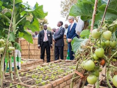 OECD: 'Flanders One of Best Development Partners in the World'